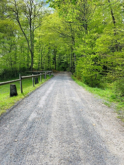 photo of unpaved gravel road